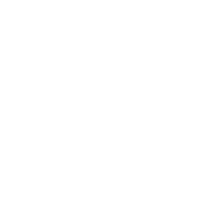 Fishel Toy Soldier Company Logo